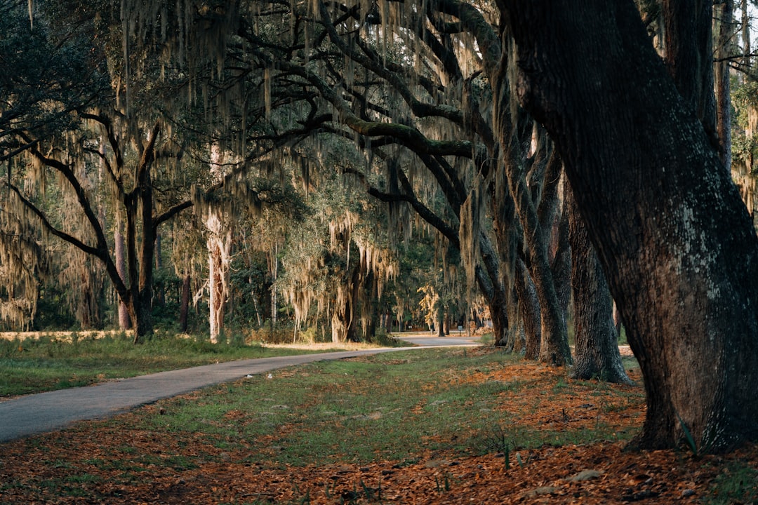 Getting a Passport in Hemingway, SC: Steps & Facilities