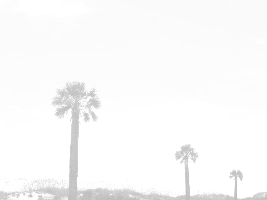 Getting a Passport in Hickory Grove, SC: Facilities & Steps