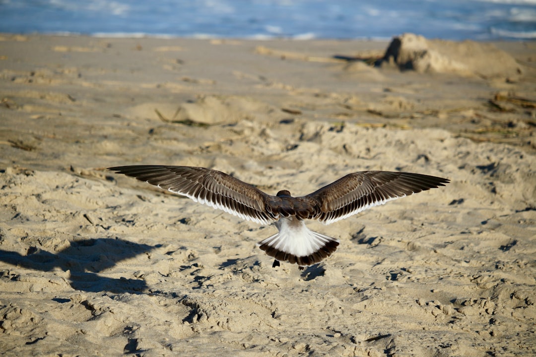 Getting a Passport in Hockessin, DE: Facilities & Steps