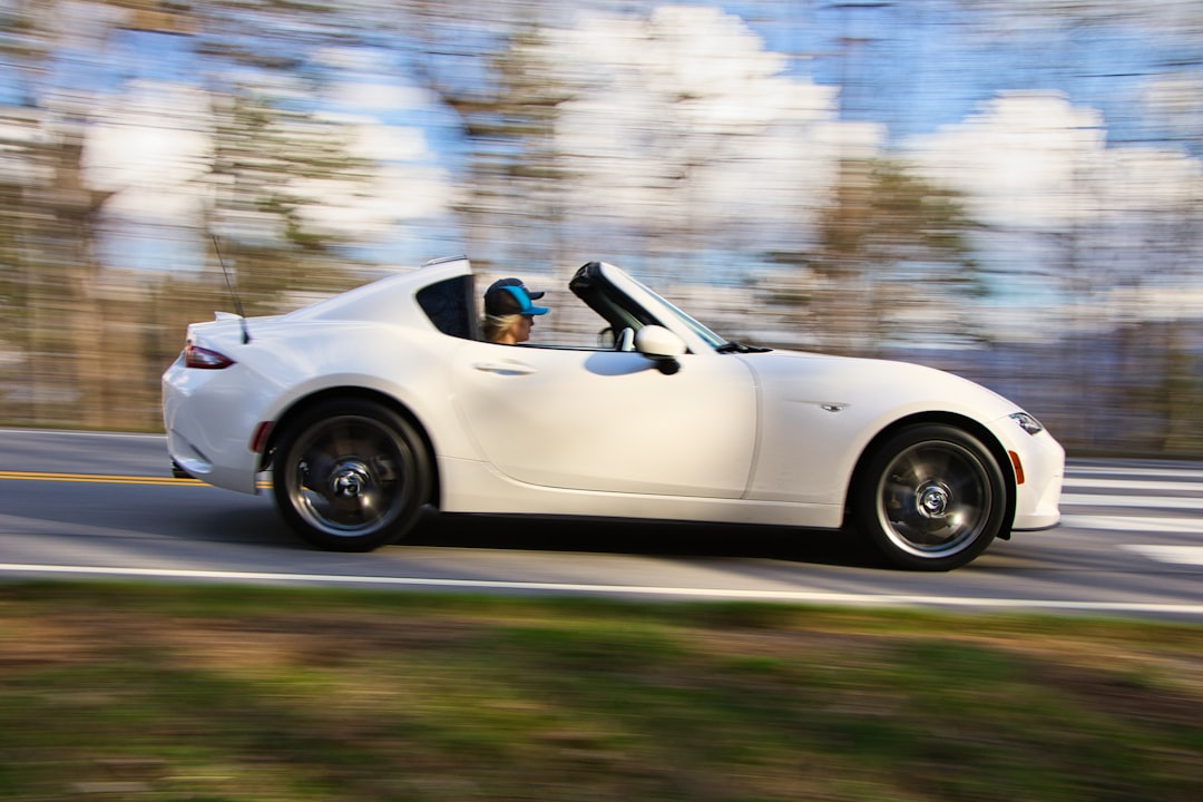 Getting a Passport in Hollow Rock, TN: Steps & Facilities