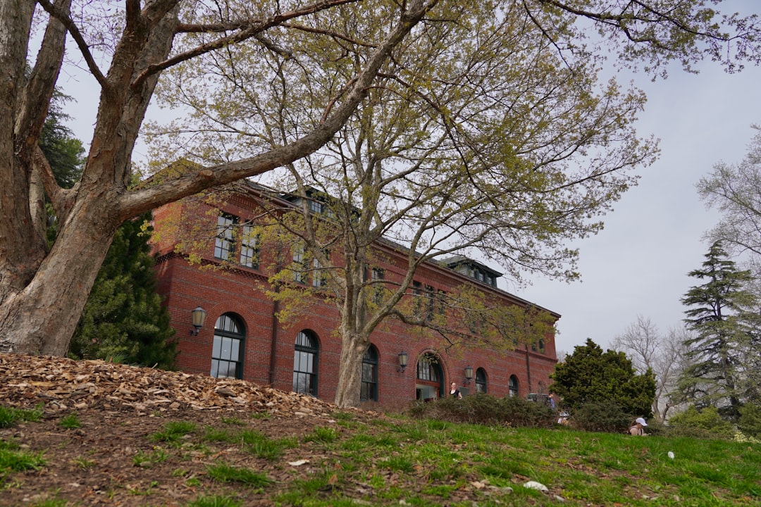 Getting a Passport in Holyoke MA: Steps, Facilities Guide