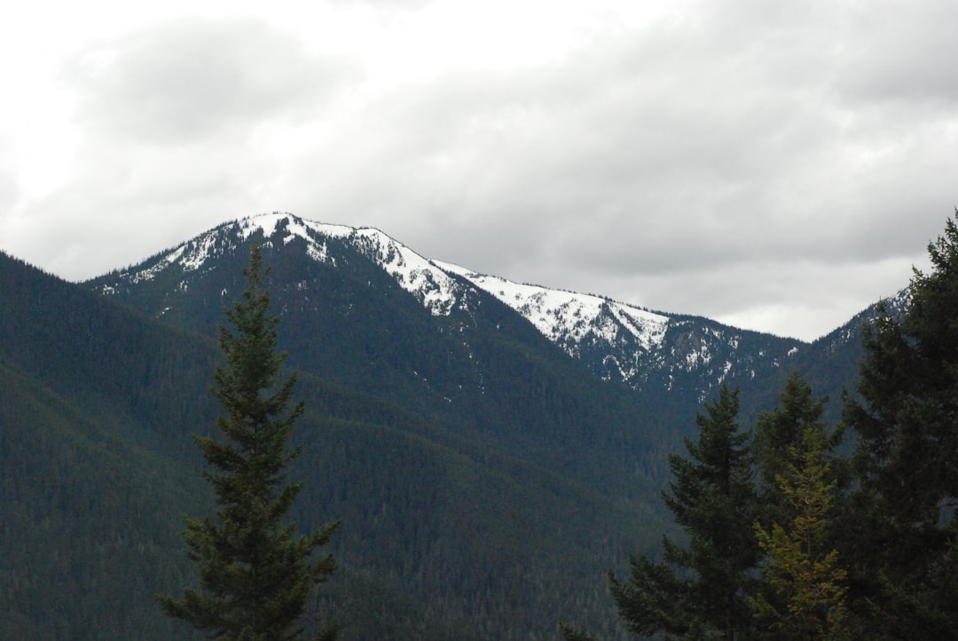 Getting a Passport in Hoodsport, WA: Facilities & Tips