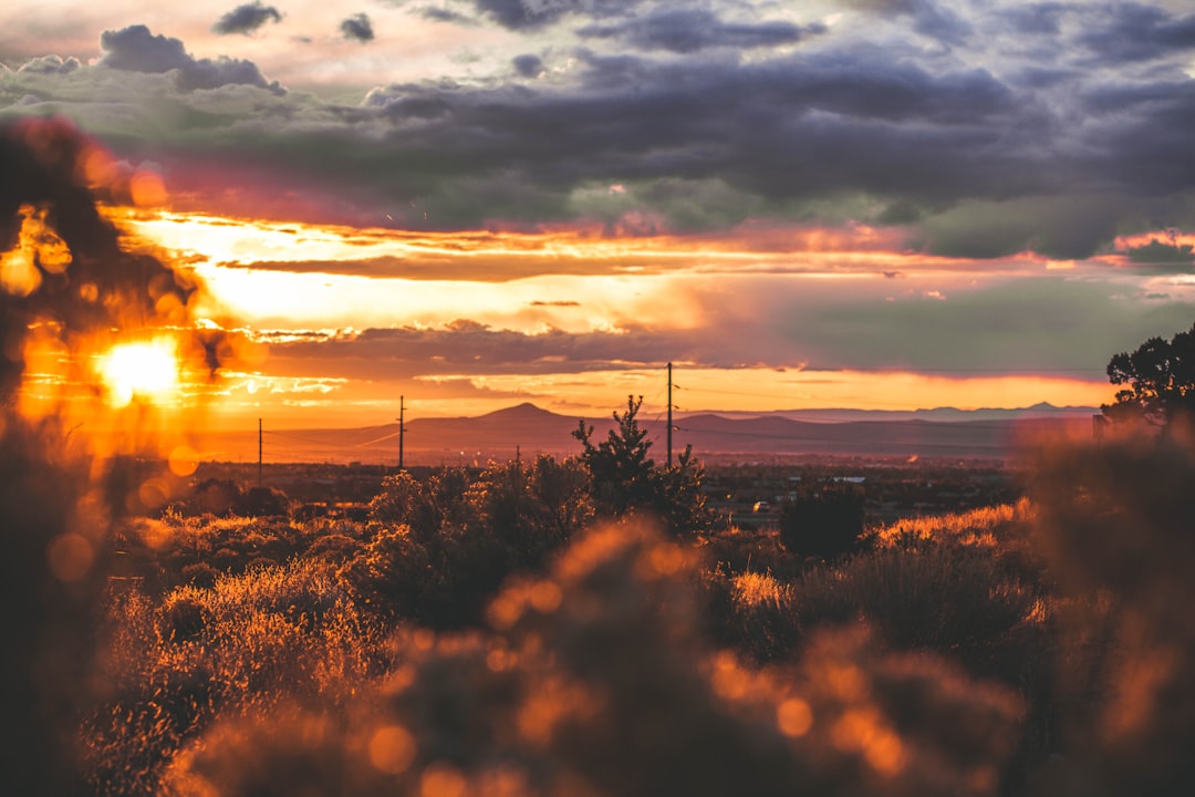 Getting a Passport in House, NM: Steps, Facilities & Tips