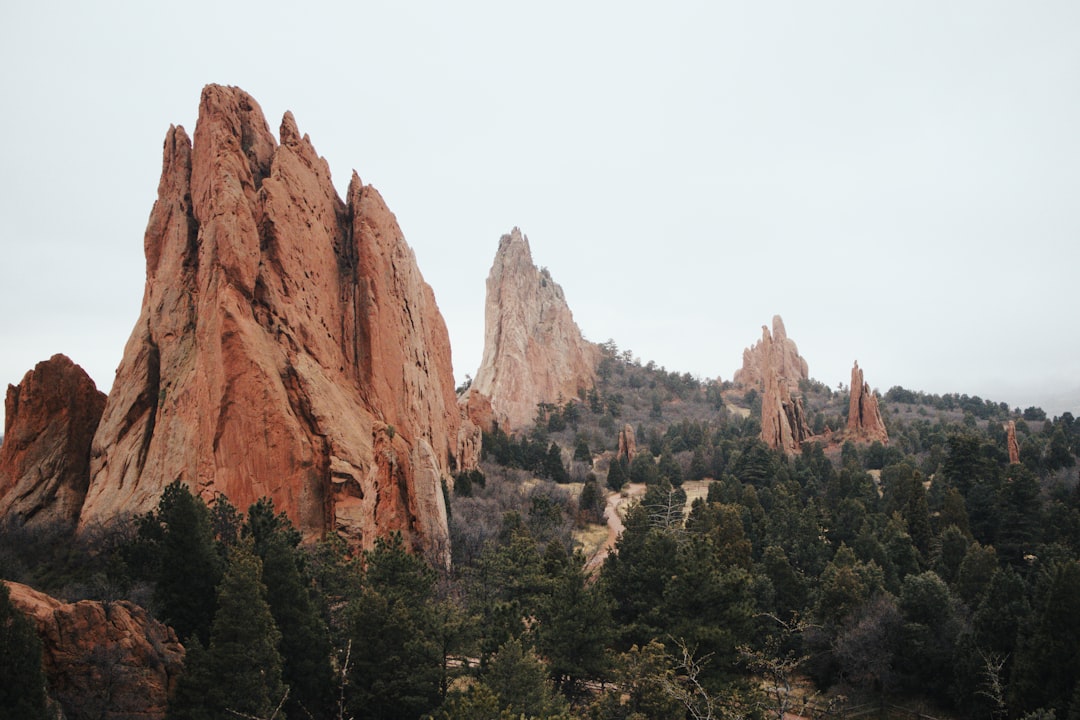 Getting a Passport in Hugo, CO: Step-by-Step Guide