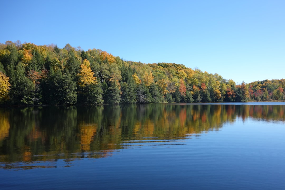 Getting a Passport in Hustler, WI: Facilities & Steps Guide
