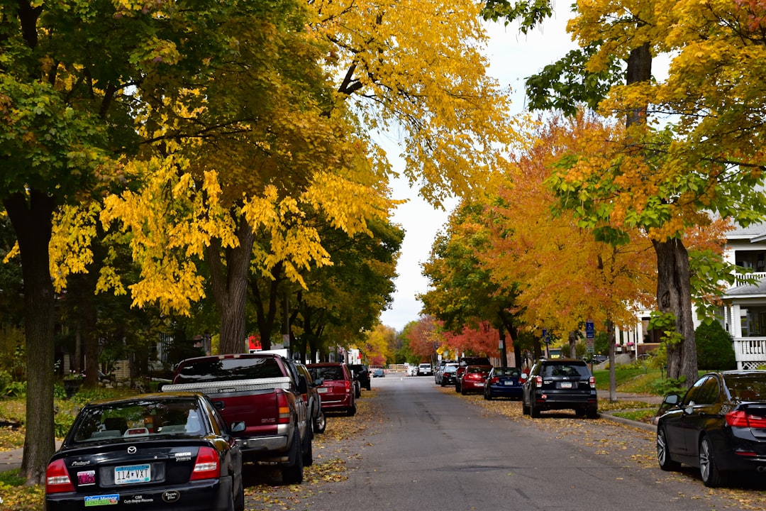 Getting a Passport in Ihlen, MN: Local Facilities & Steps