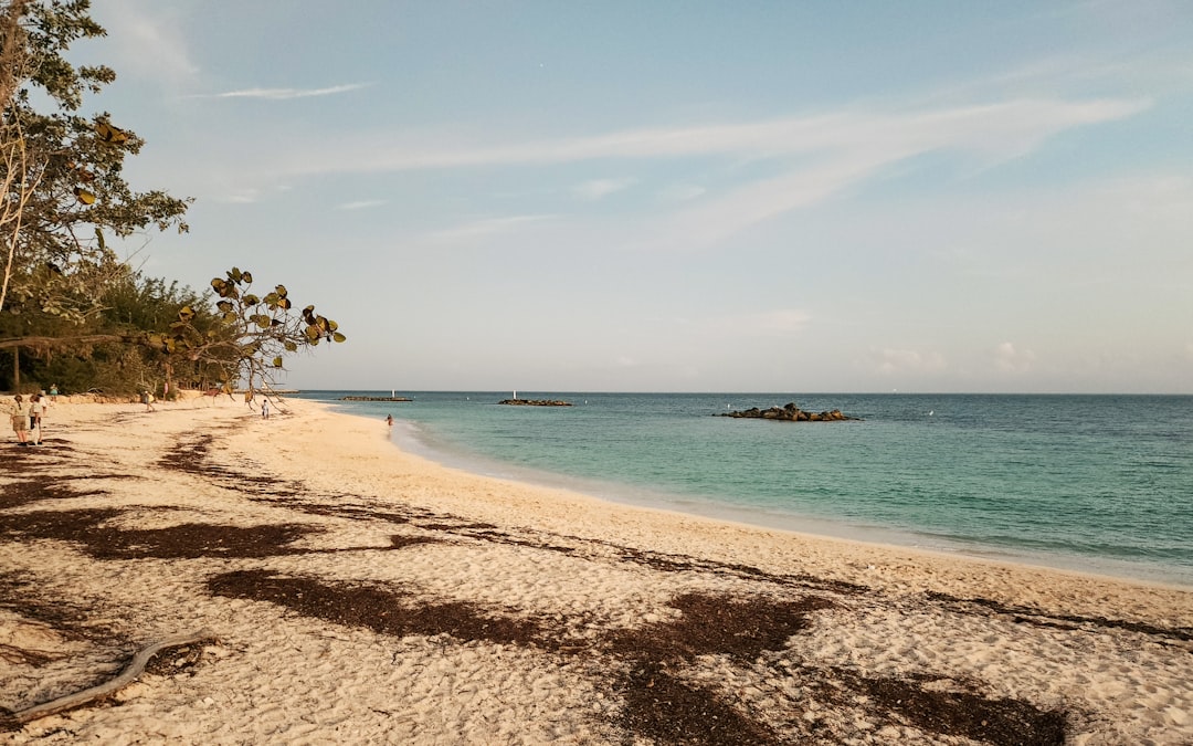 Getting a Passport in Inglis, FL: Step-by-Step Guide