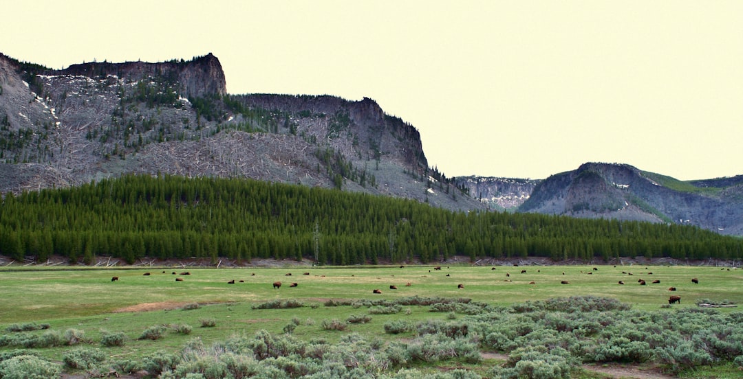 Getting a Passport in James Town, WY: Step-by-Step Guide