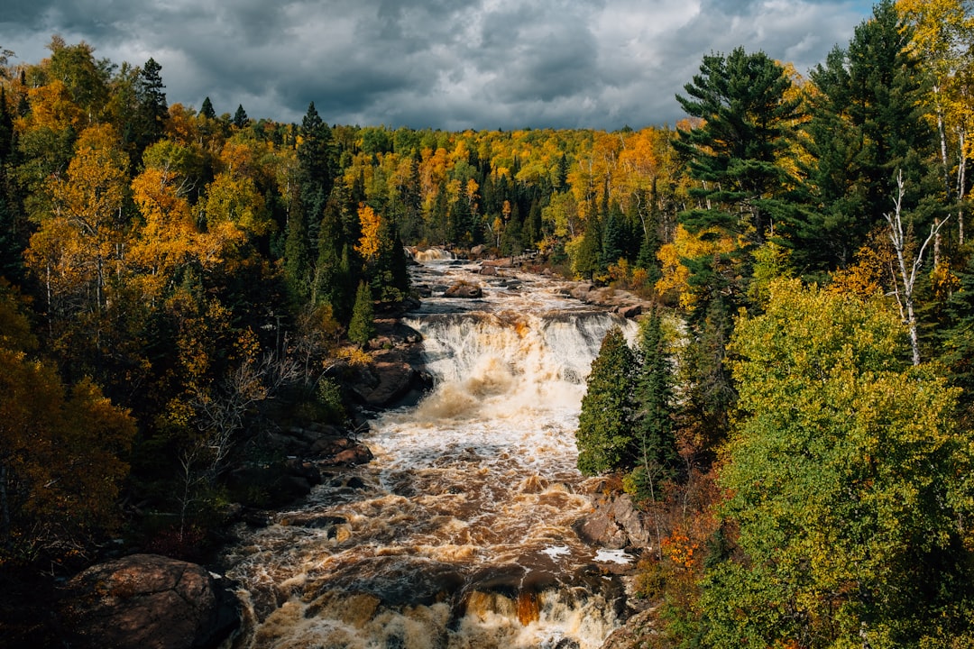 Getting a Passport in Jenkins, MN: Steps & Facilities