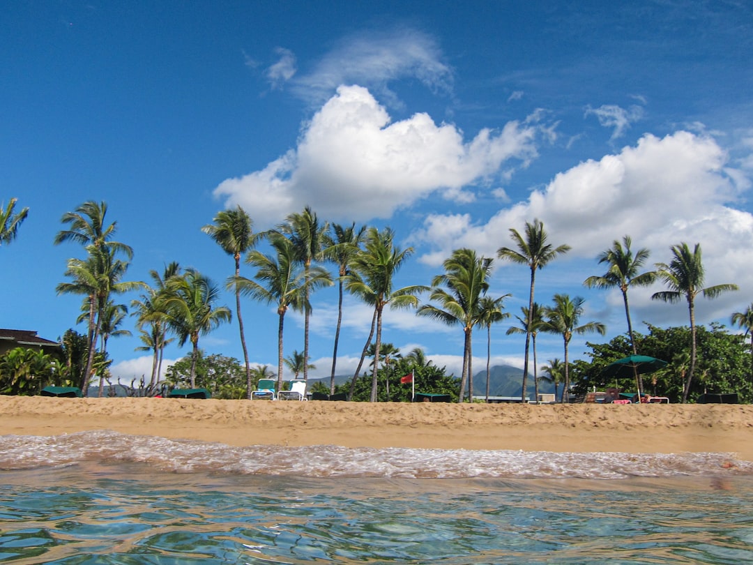 Getting a Passport in Kalapana, HI: Facilities, Steps & Tips