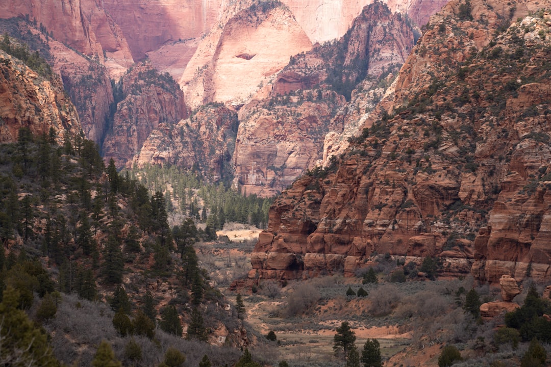 Getting a Passport in Kingston, UT: Facilities & Rural Tips