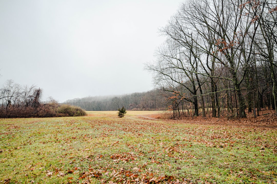 Getting a Passport in Knollcrest, CT: Renewals & First-Time Guide