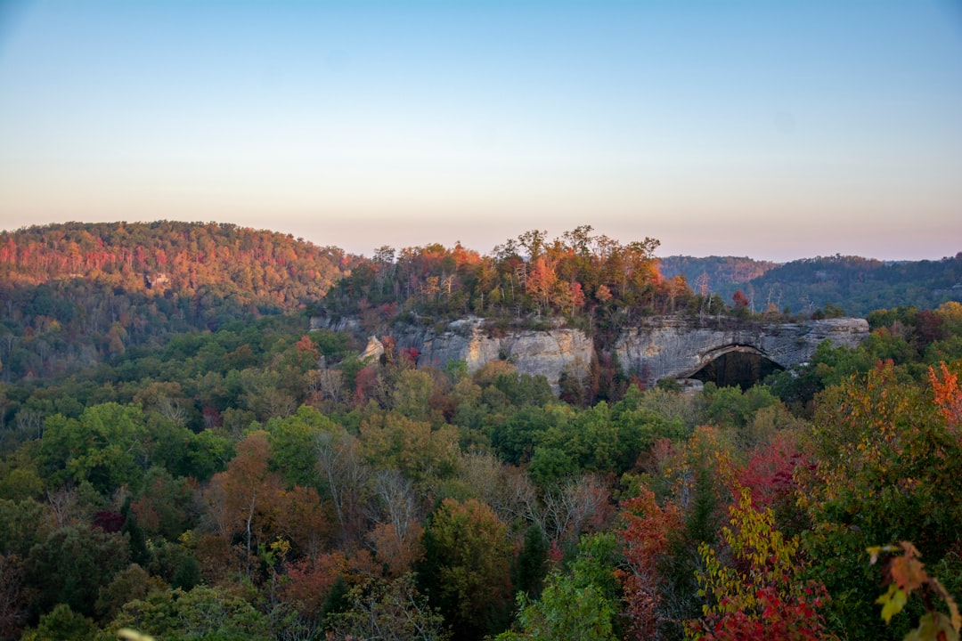 Getting a Passport in La Center, KY: Local Steps & Facilities