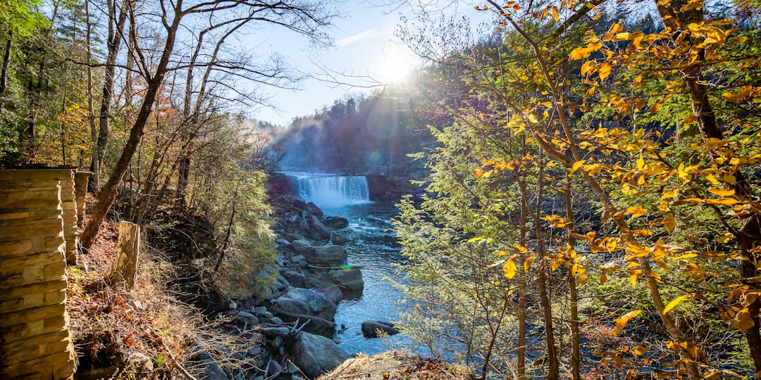 Getting a Passport in LaFayette, KY: Step-by-Step Guide