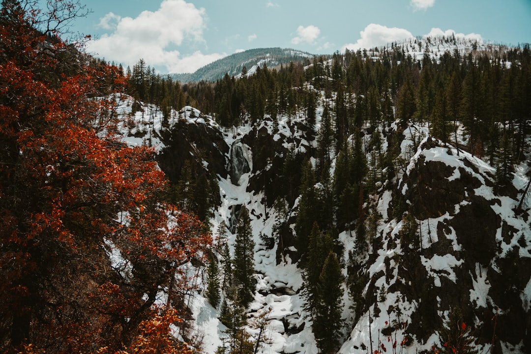 Getting a Passport in Lake City, Colorado: Full Guide