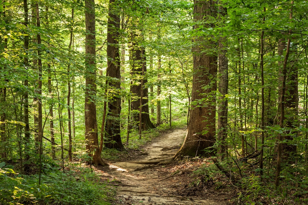 Getting a Passport in Lake Tansi, TN: Step-by-Step Guide