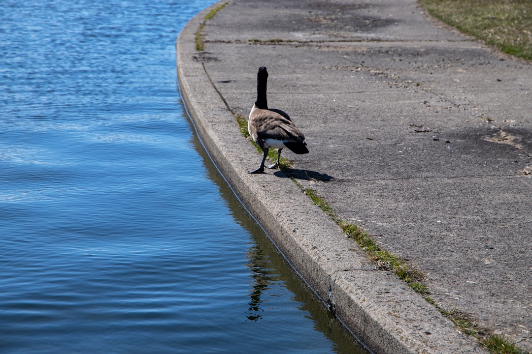 Getting a Passport in Lake Victoria, MI: Steps, Facilities & Tips