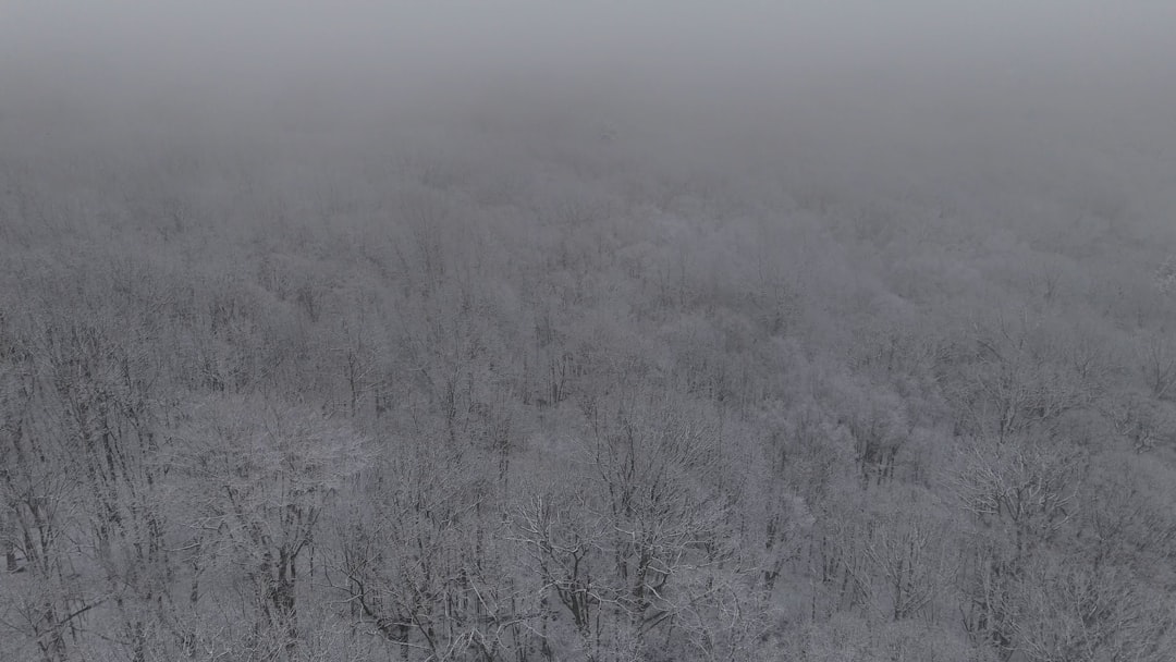 Getting a Passport in Lakeville, CT: Step-by-Step Guide