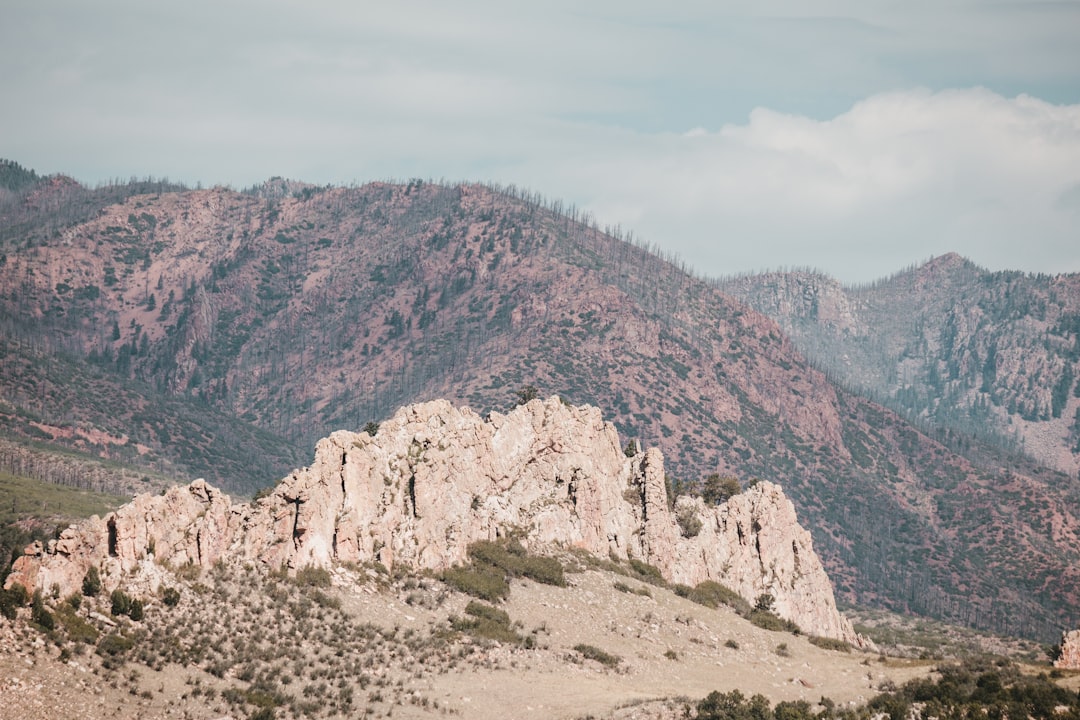 Getting a Passport in Larkspur, CO: Steps & Local Options