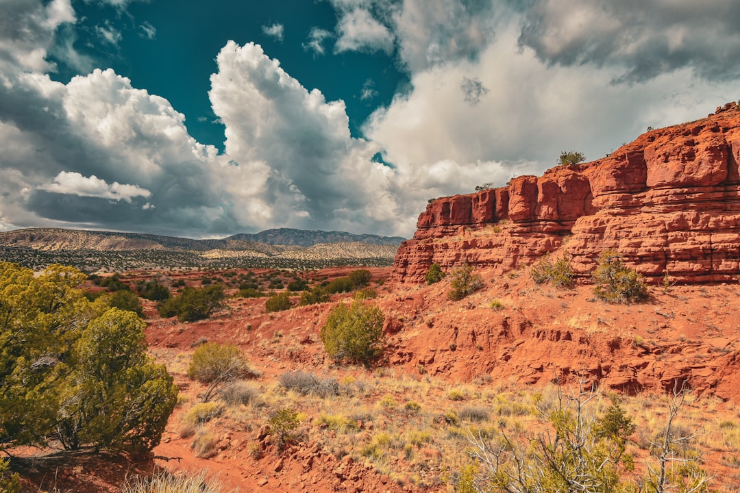 Getting a Passport in Las Palomas, NM: Steps, Facilities & Tips