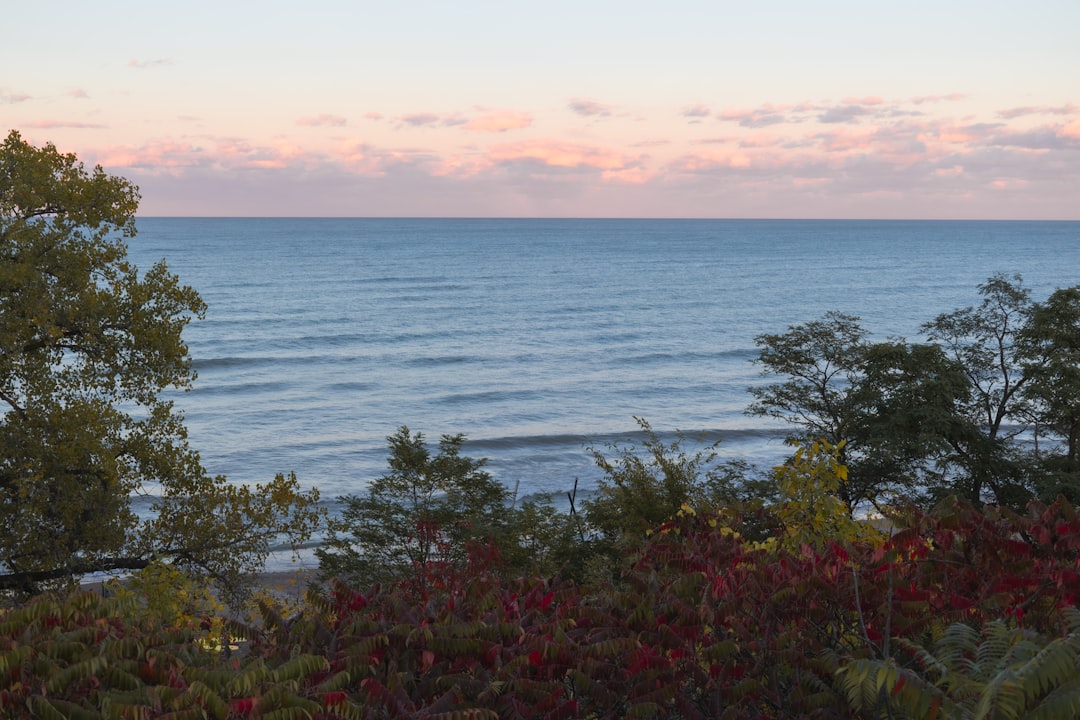 Getting a Passport in Lathrup Village, MI: Forms & Facilities