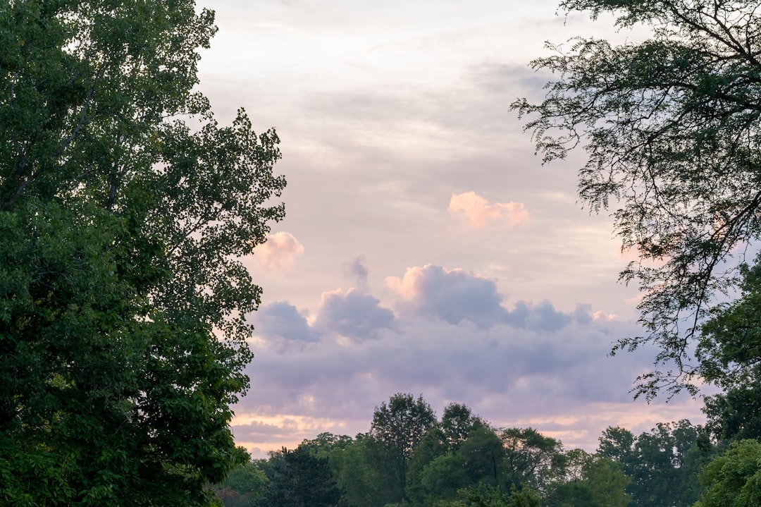 Getting a Passport in Lewisburg OH: Steps, Facilities & Tips