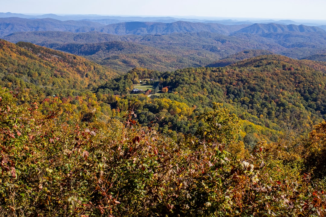 Getting a Passport in Lewiston Woodville, NC: Full Guide