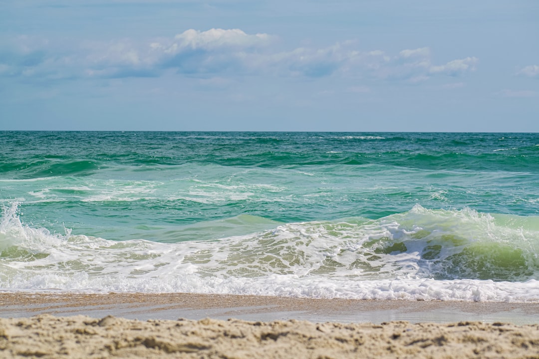 Getting a Passport in Linden, NC: Steps, Facilities & Tips