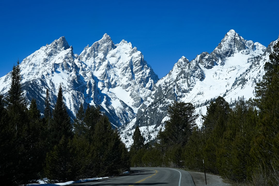Getting a Passport in Lingle, WY: Forms, Locations & Checklists