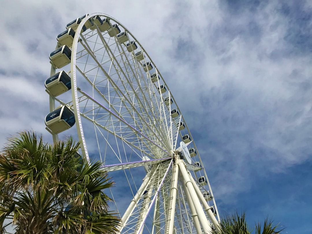 Getting a Passport in Live Oak, SC: Colleton County Guide