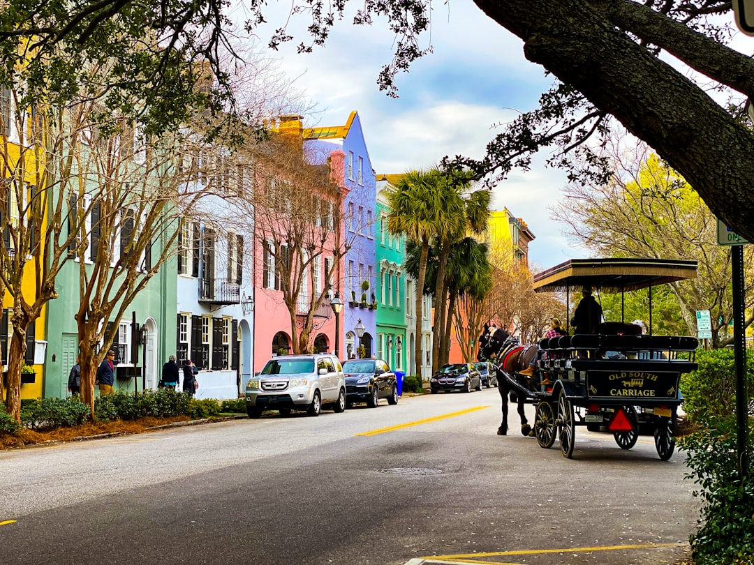 Getting a Passport in Livingston, SC: Steps & Facilities