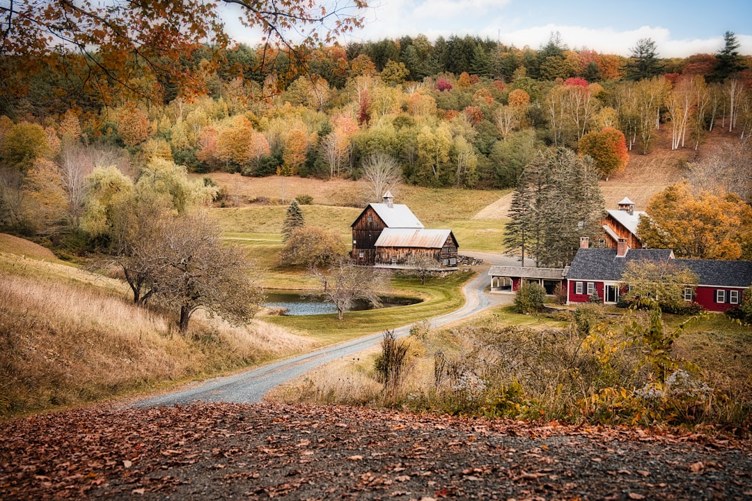 Getting a Passport in Londonderry VT: Forms Facilities Fees