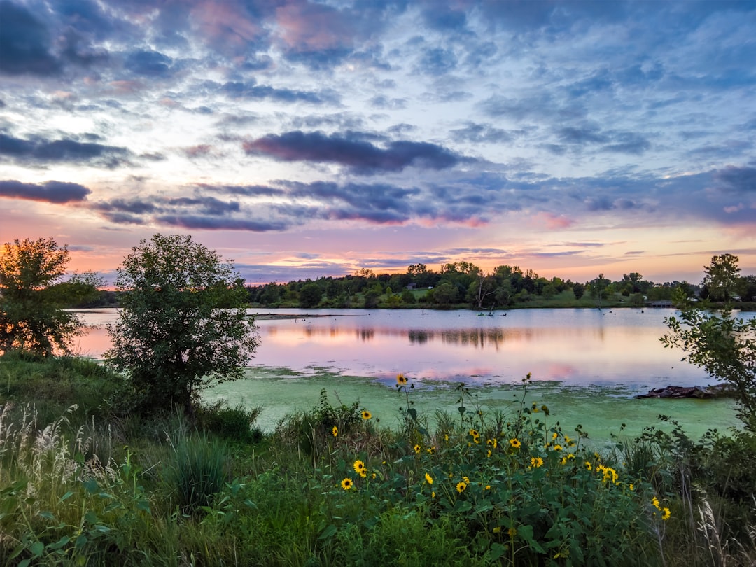Getting a Passport in Long Pine, NE: Step-by-Step Guide