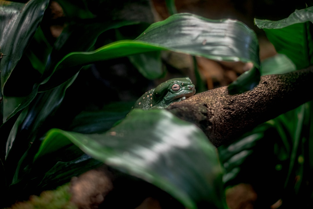 Getting a Passport in Mabank TX: First-Time, Renewal Guide