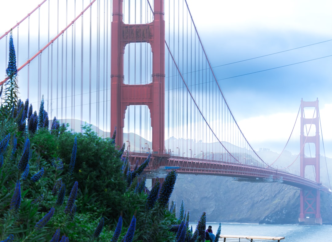 Getting a Passport in Macdoel, CA: Local Facilities & Steps