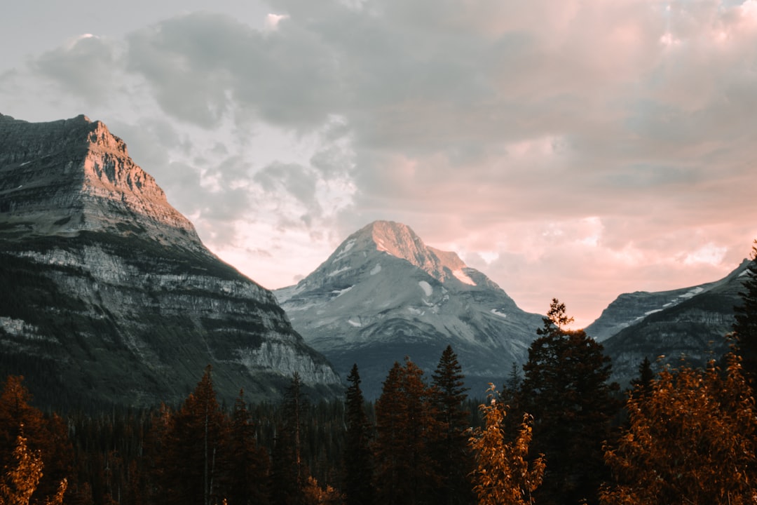 Getting a Passport in Manhattan, MT: Facilities, Steps & Tips