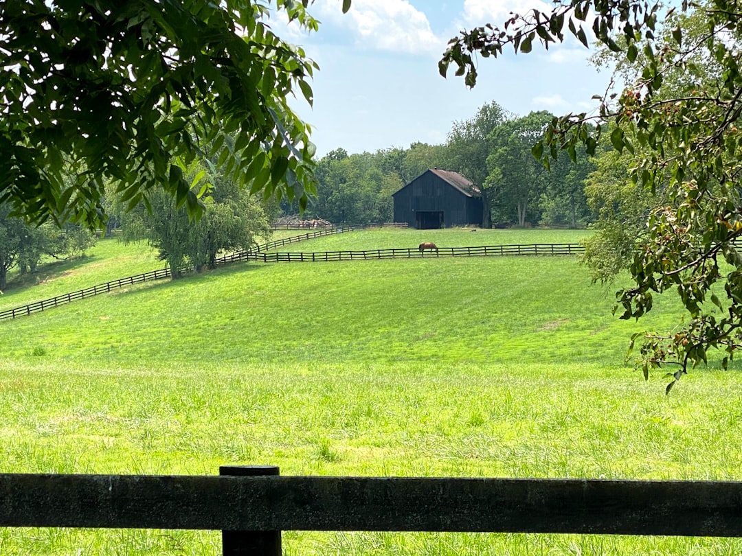 Getting a Passport in Manor Creek, KY: Step-by-Step Guide