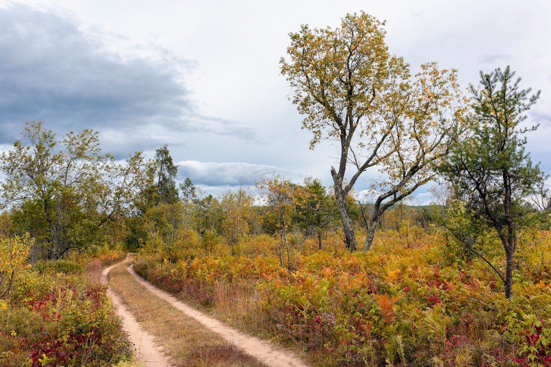 Getting a Passport in Maribel, WI: Facilities, Steps & Tips
