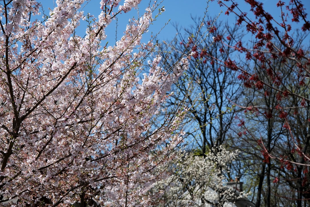 Getting a Passport in Mays Landing, NJ: Full Process Guide