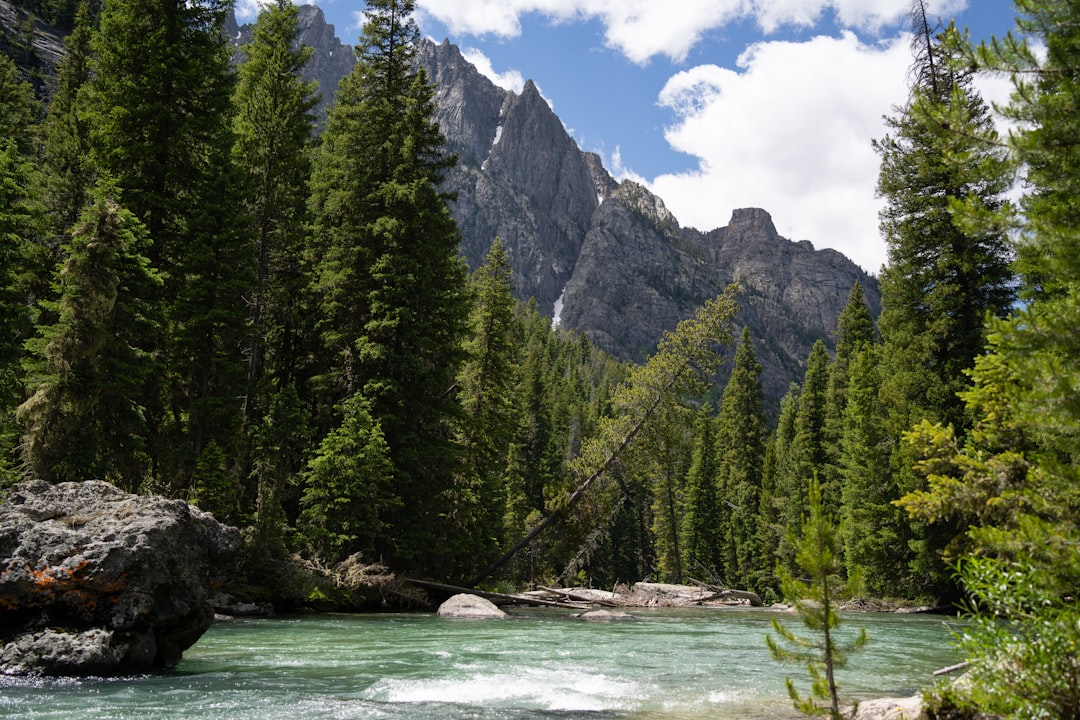 Getting a Passport in McKinnon, WY: Step-by-Step Guide