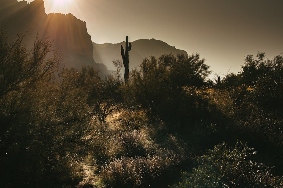 Getting a Passport in Mead Ranch, AZ: Steps & Facilities