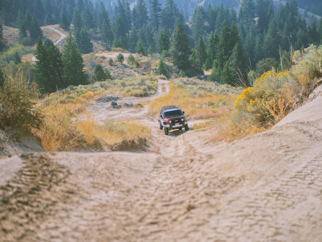 Getting a Passport in Meridian, ID: Facilities, Forms, Fees