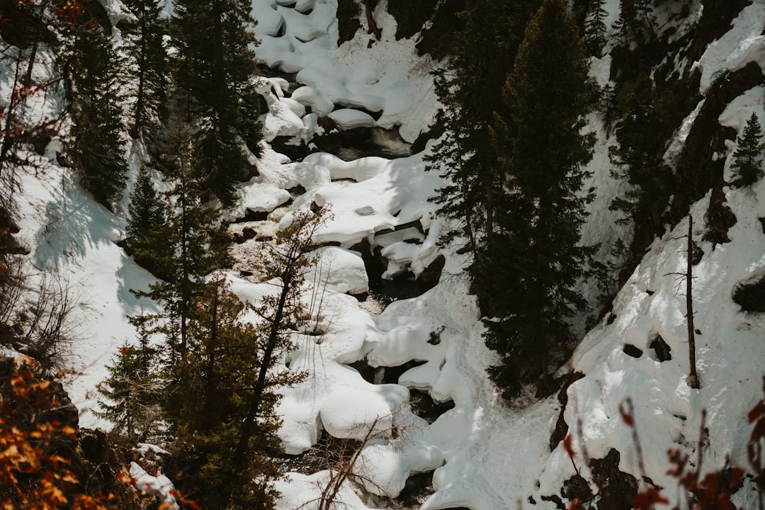 Getting a Passport in Merino, CO: Sterling Facilities Guide