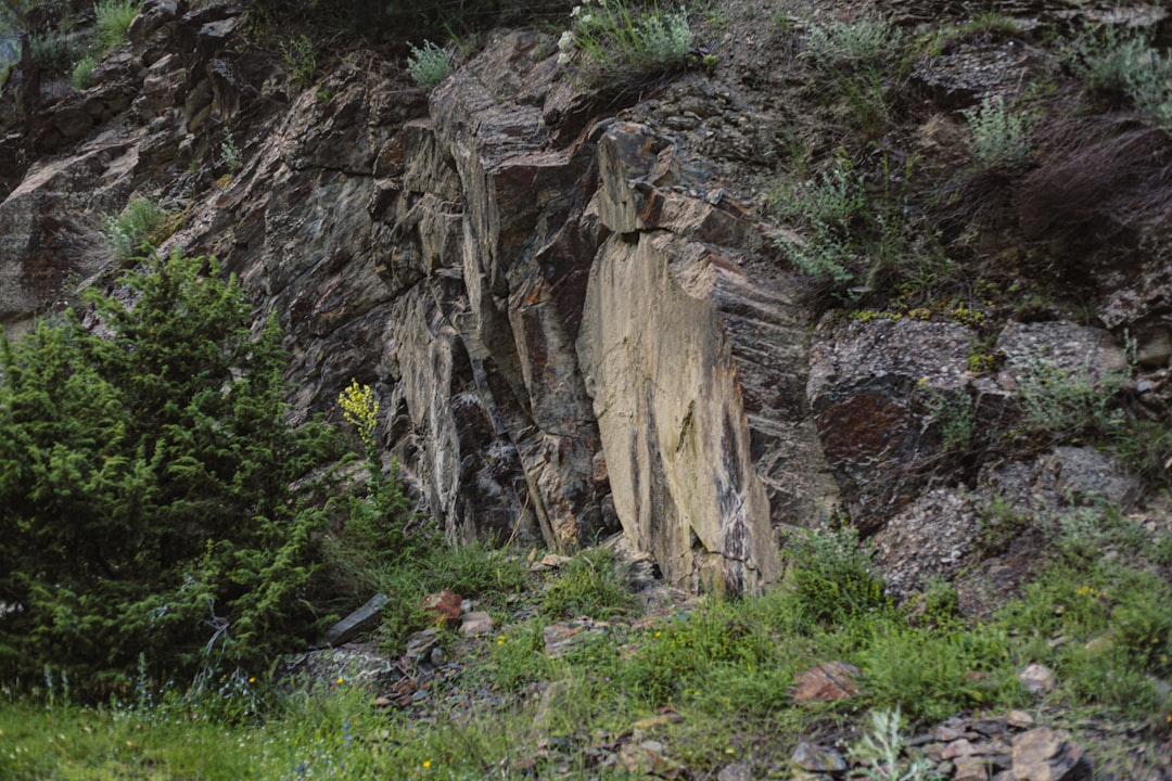 Getting a Passport in Midville, GA: Burke Facilities & Process