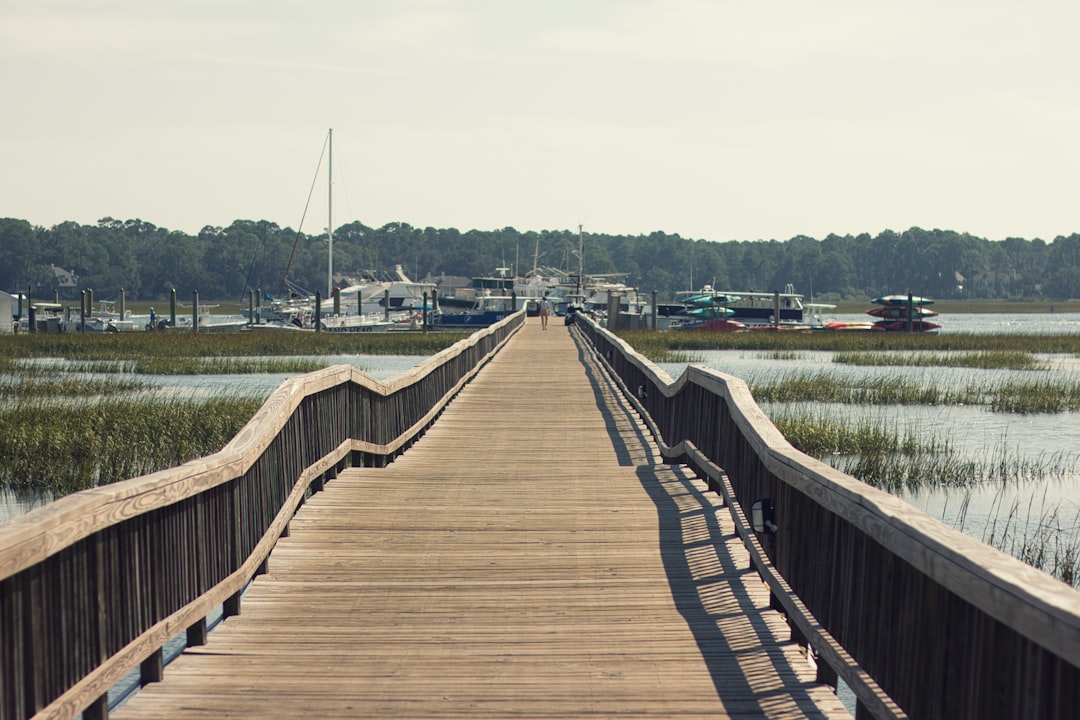 Getting a Passport in Monetta, SC: Step-by-Step Guide