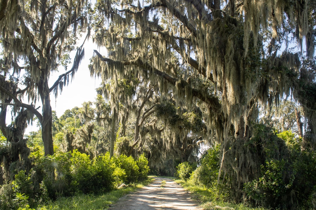 Getting a Passport in Mount Croghan, SC: Step-by-Step Guide