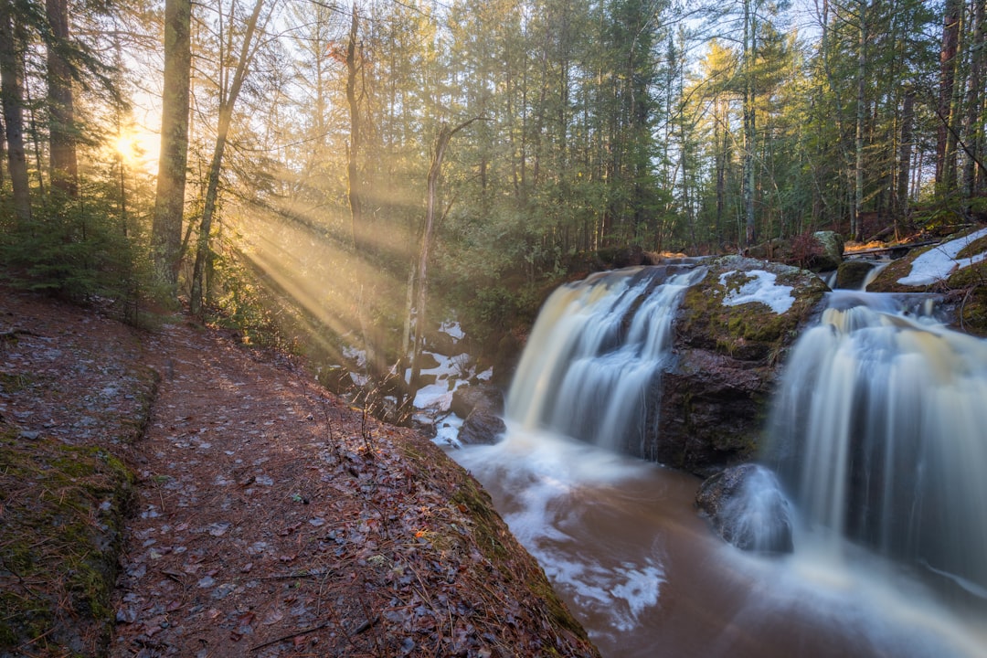 Getting a Passport in Navarino, WI: Step-by-Step Guide