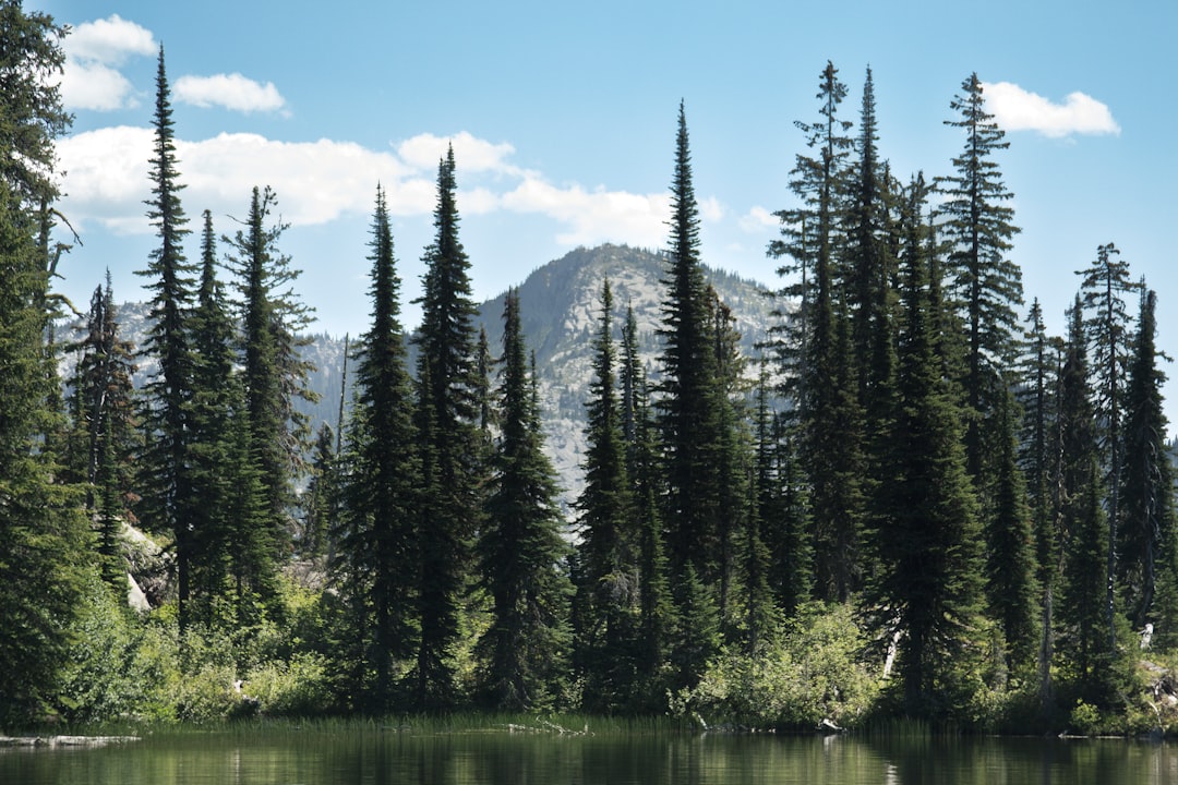 Getting a Passport in New Meadows, ID: Facilities & Process Guide