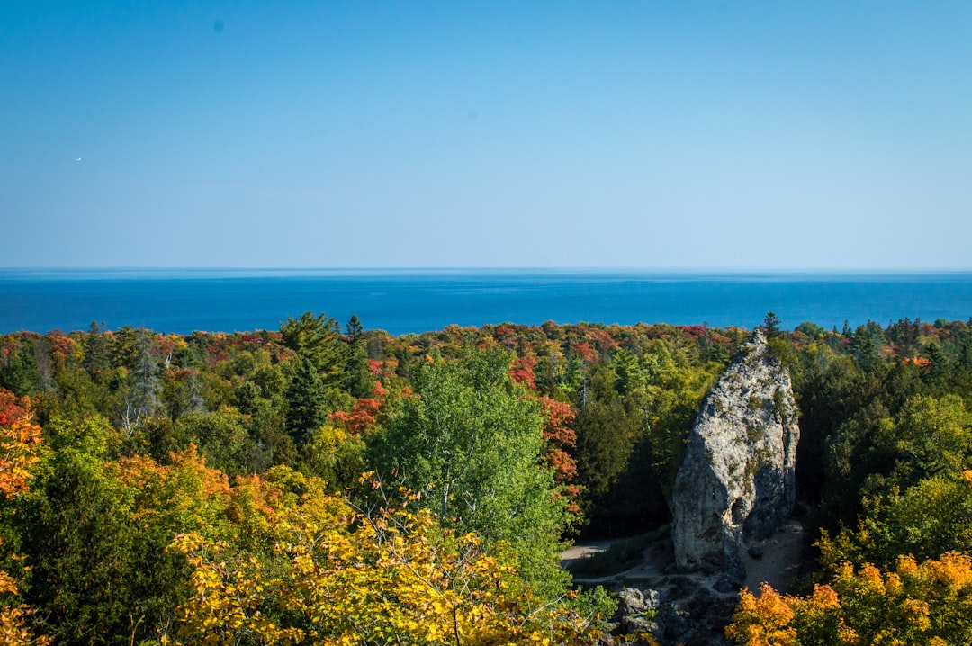 Getting a Passport in New Troy, MI: Steps, Sites & Tips