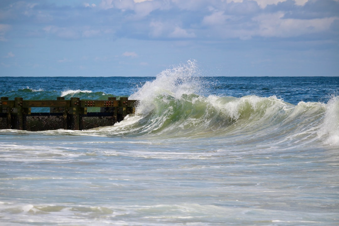 Getting a Passport in Newport, DE: Facilities, Steps & Tips